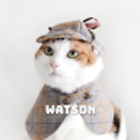 watsoncat1